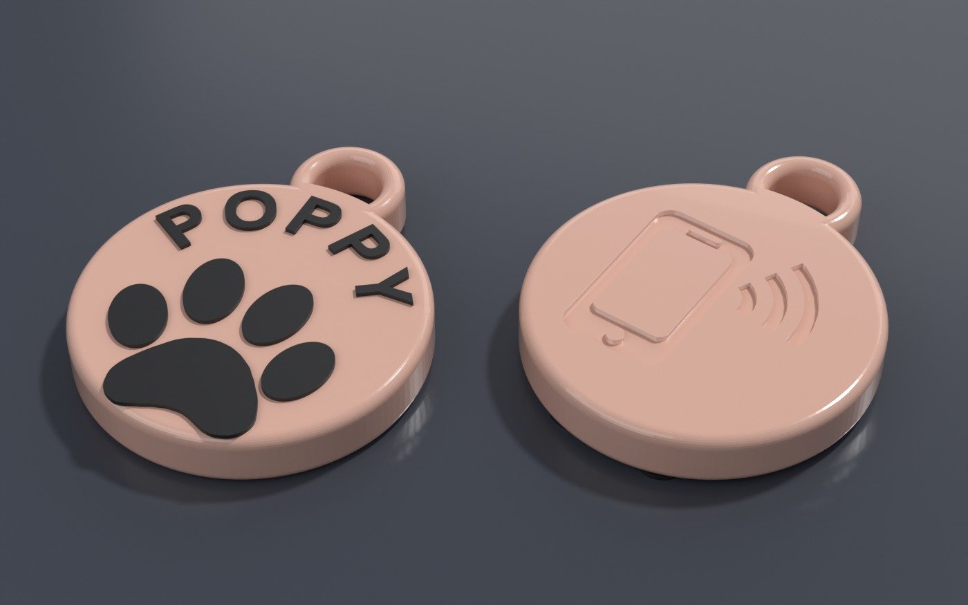 A printed pet tag, front and back. The front has a raised paw and the pet's name curved around the rim; the back carries the engraved tap symbol.